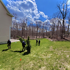 Privacy-Screening-Installation-in-Shelton-CT 4